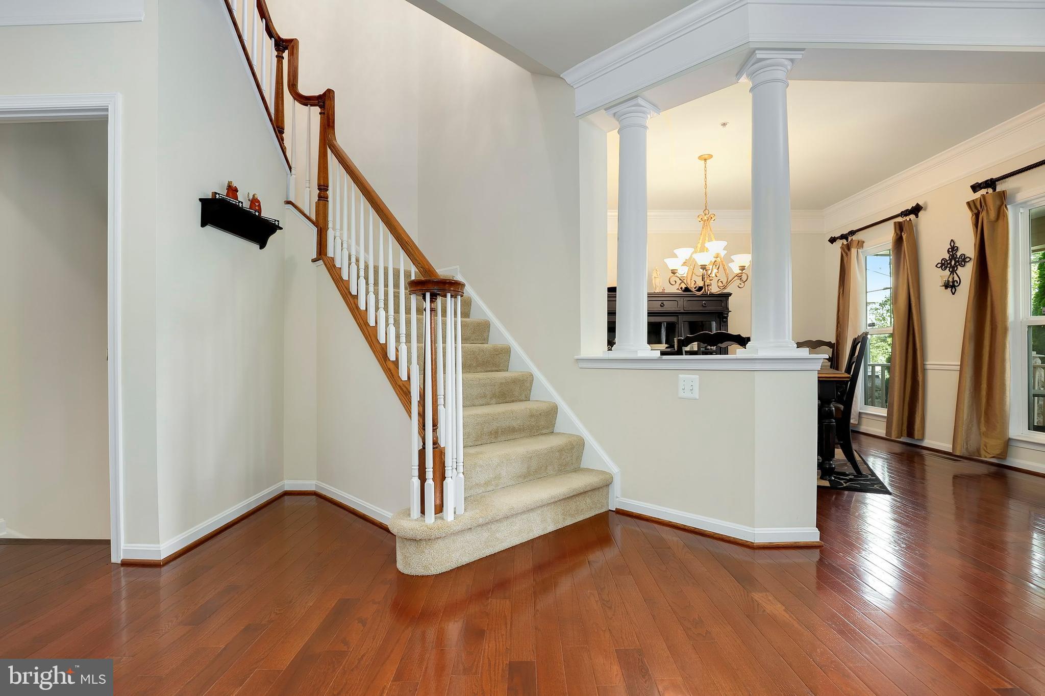 23906 Grapevine Ridge Terrace Clarksburg, MD 20871 - Photo 6 of 45 Gallery Image 6