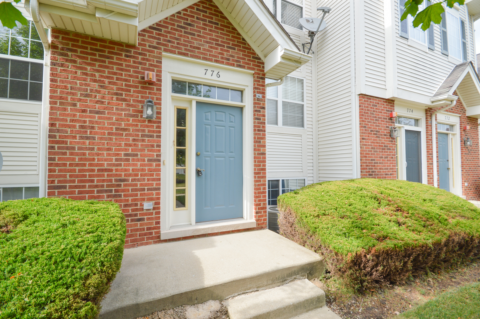 a view of a backyard with plants