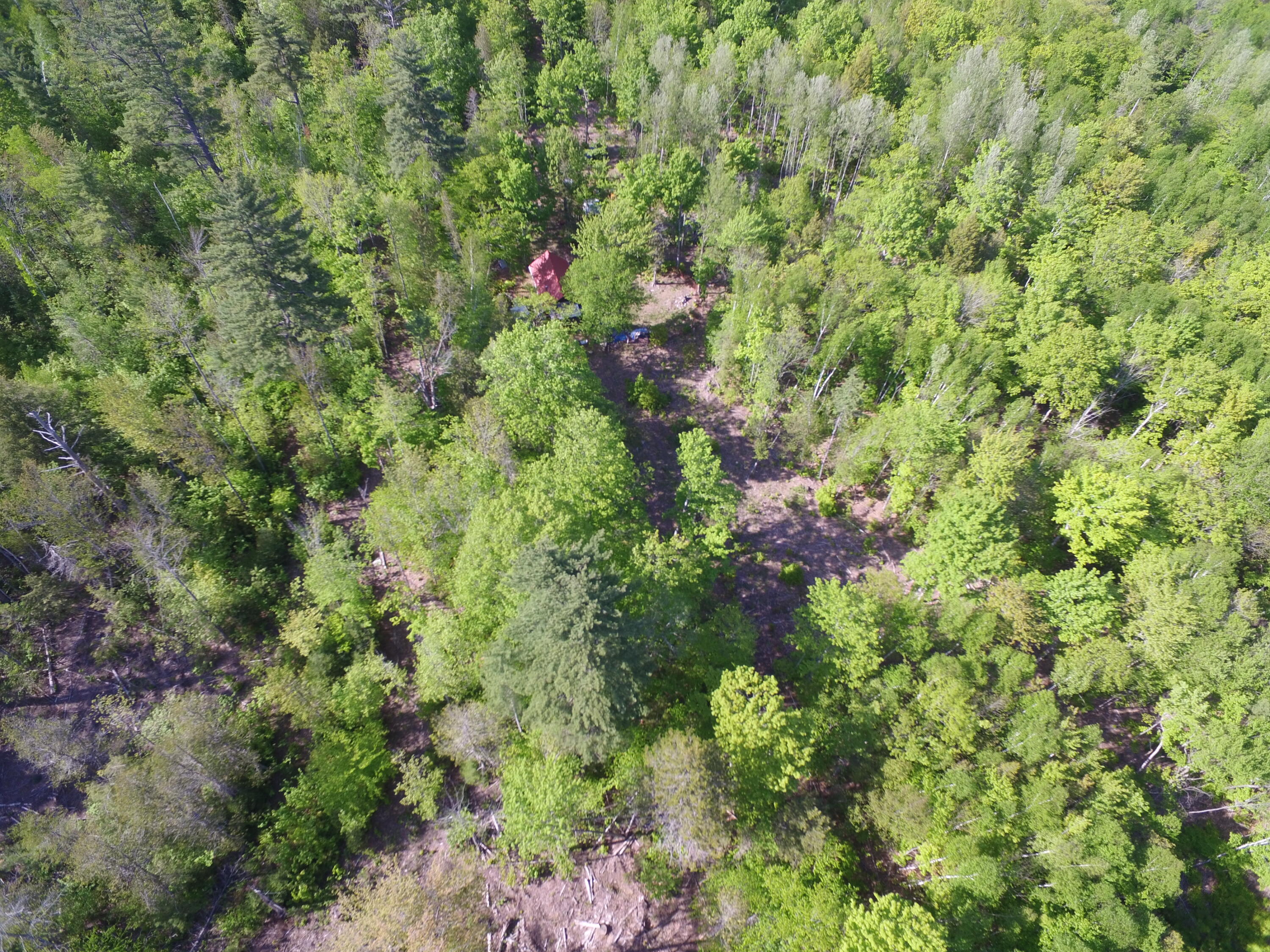 54 Cobb Road Lee, ME 04455 - Photo 24 of 28 DJI_0048