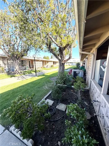 a view of a yard with plants and large trees