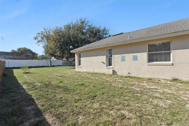 a view of a backyard with plants and large tree