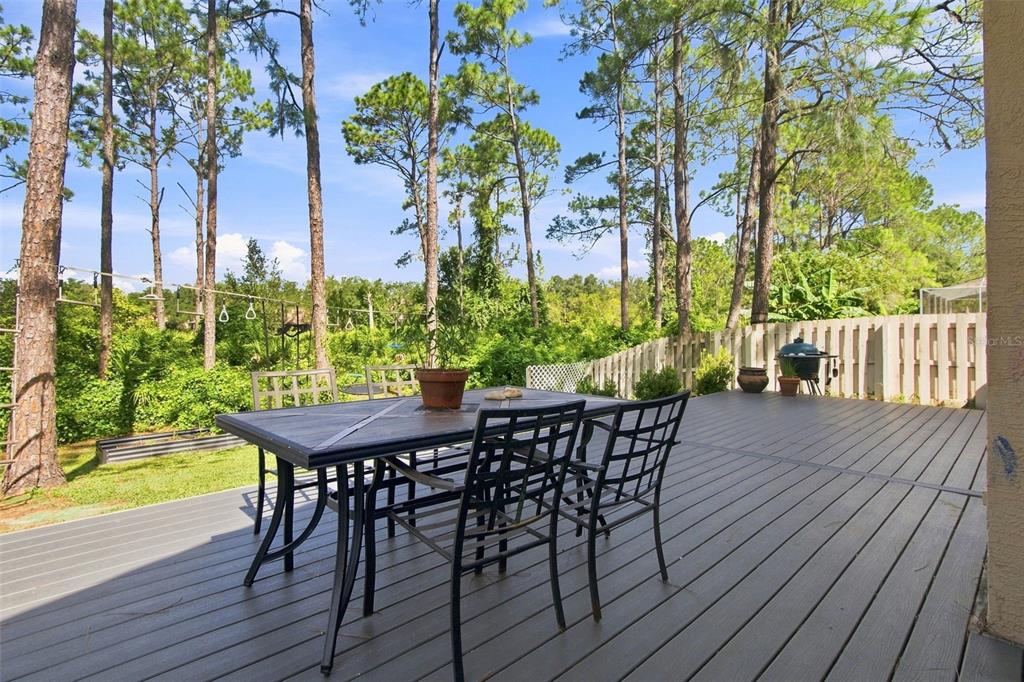 17708 Long Ridge Road Tampa, FL 33647 - Photo 53 of 100 Gallery Image 53