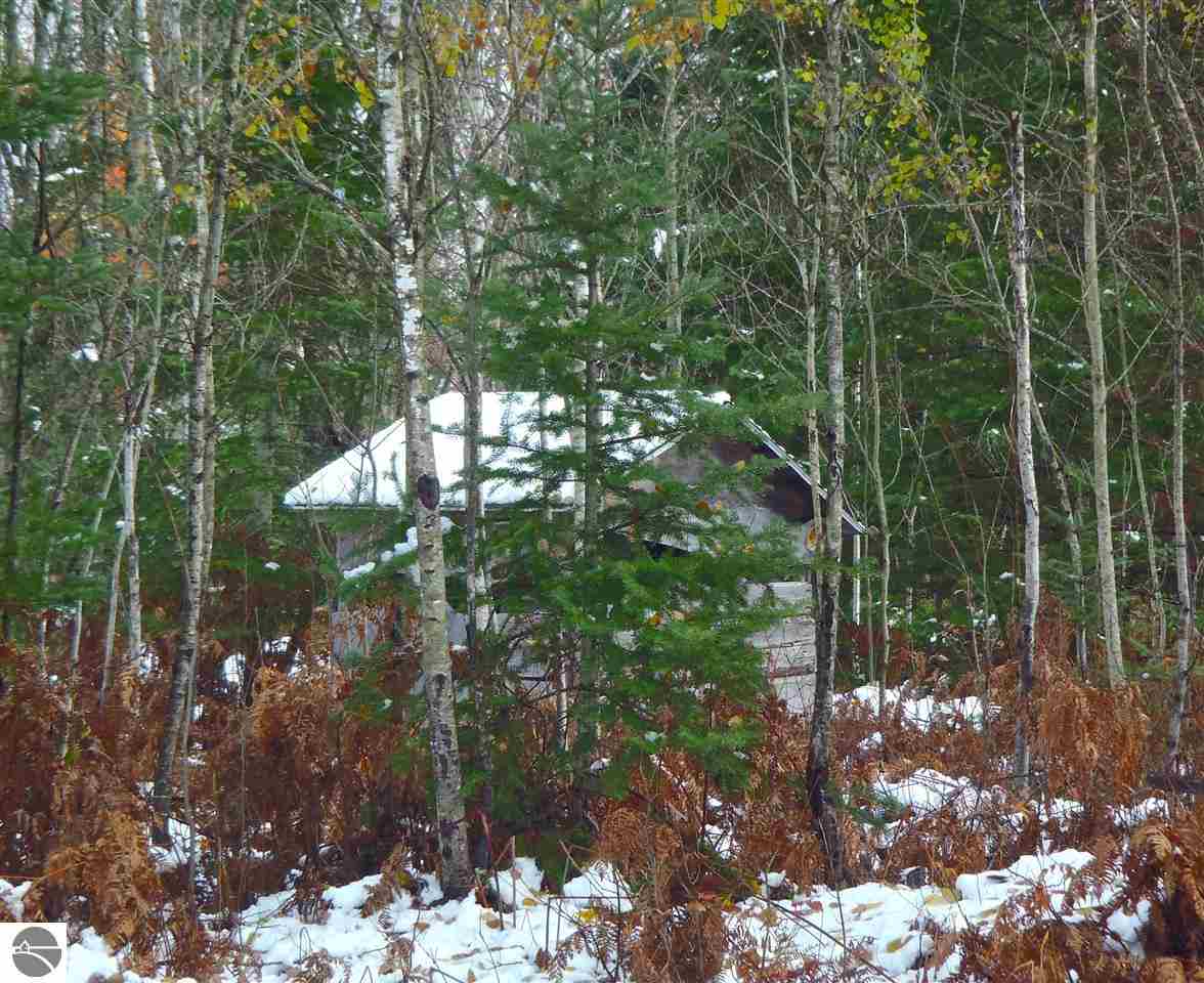 2535 Sigma Road Southeast Kalkaska, MI 49646 - Photo 40 of 50 1778078-39.JPG