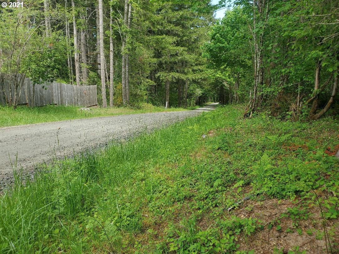 79311 Letz Creek Road Lorane, OR 97451 - Photo 11 of 24 Gallery Image 11