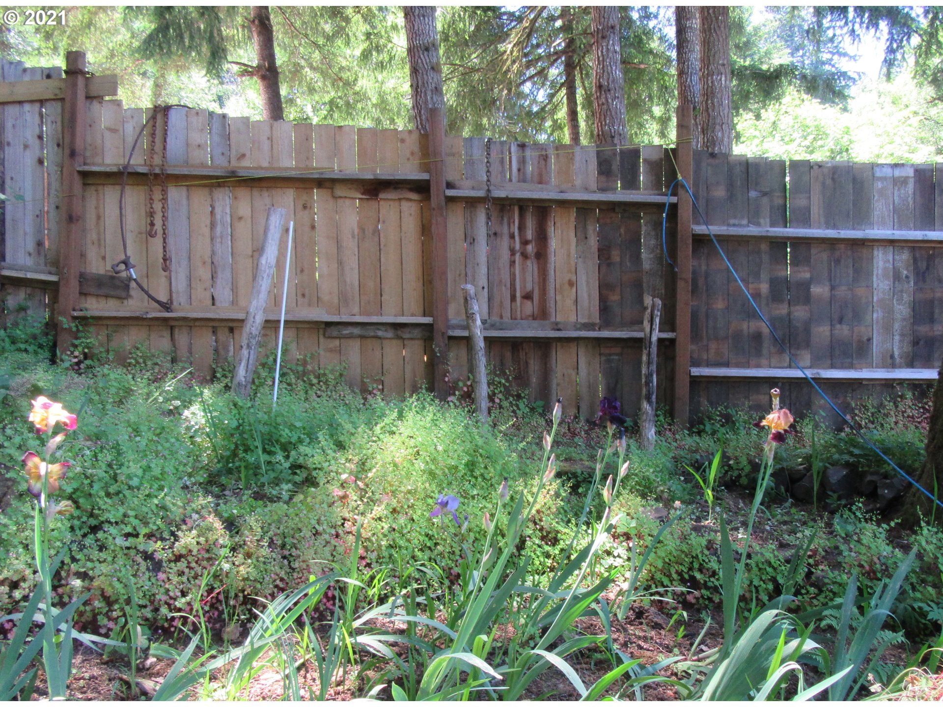 79311 Letz Creek Road Lorane, OR 97451 - Photo 12 of 24 Gallery Image 12