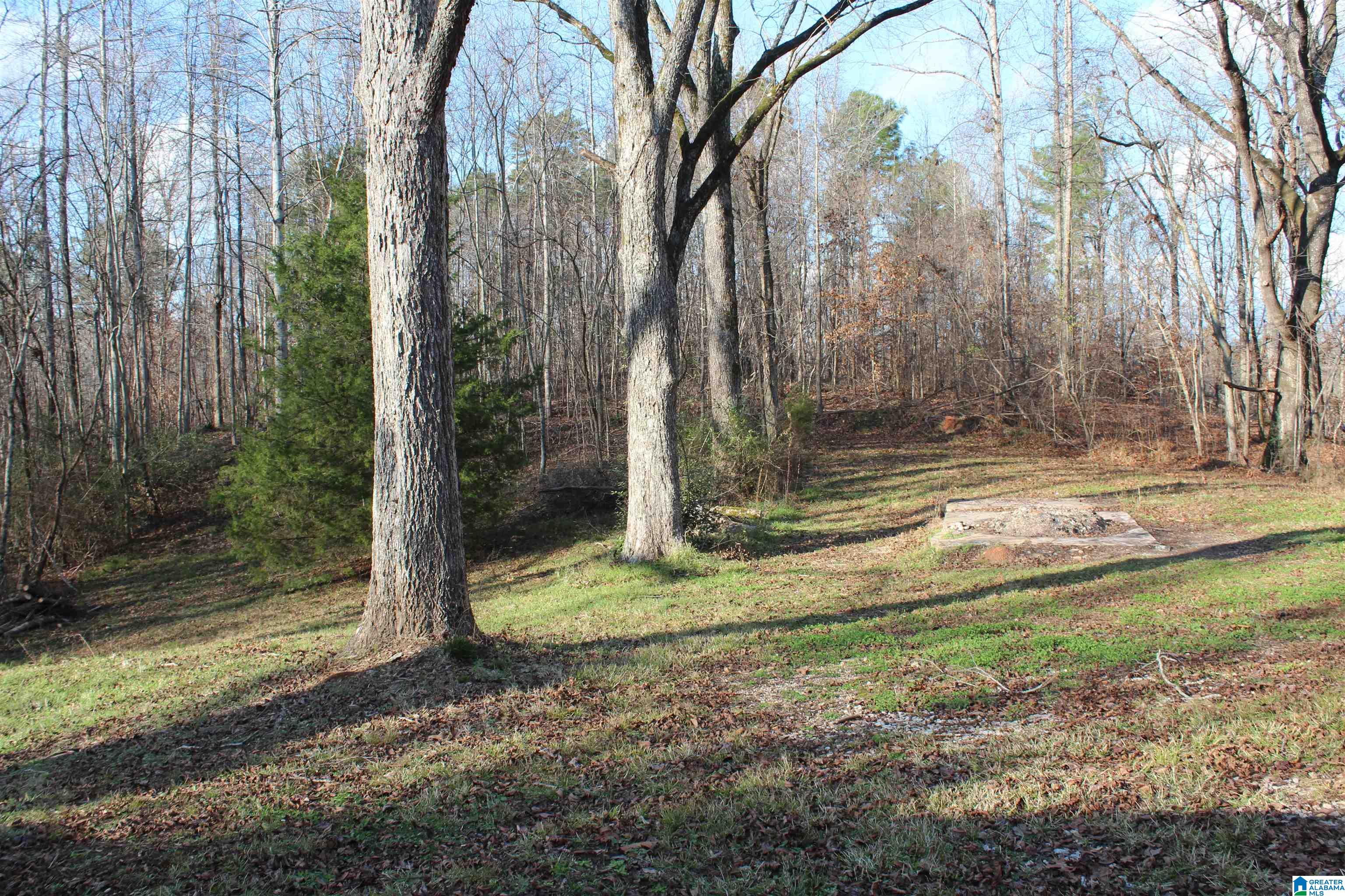 900 New County Line Road Sylacauga, AL 35151 - Photo 27 of 30