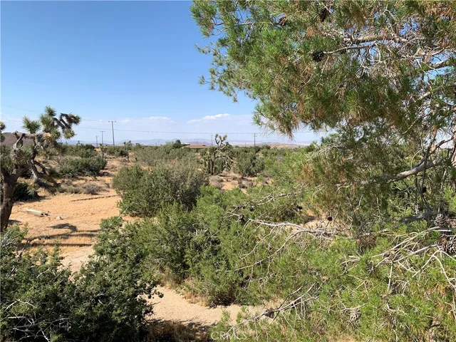 $1,995 | 5345 Carlsbad Avenue, Yucca Valley, CA 92284