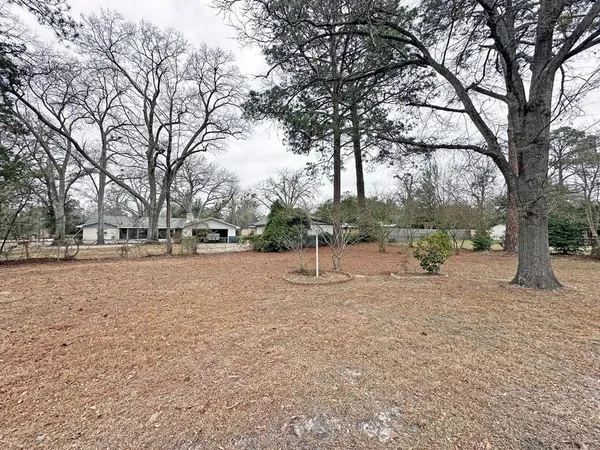 a view of road with trees
