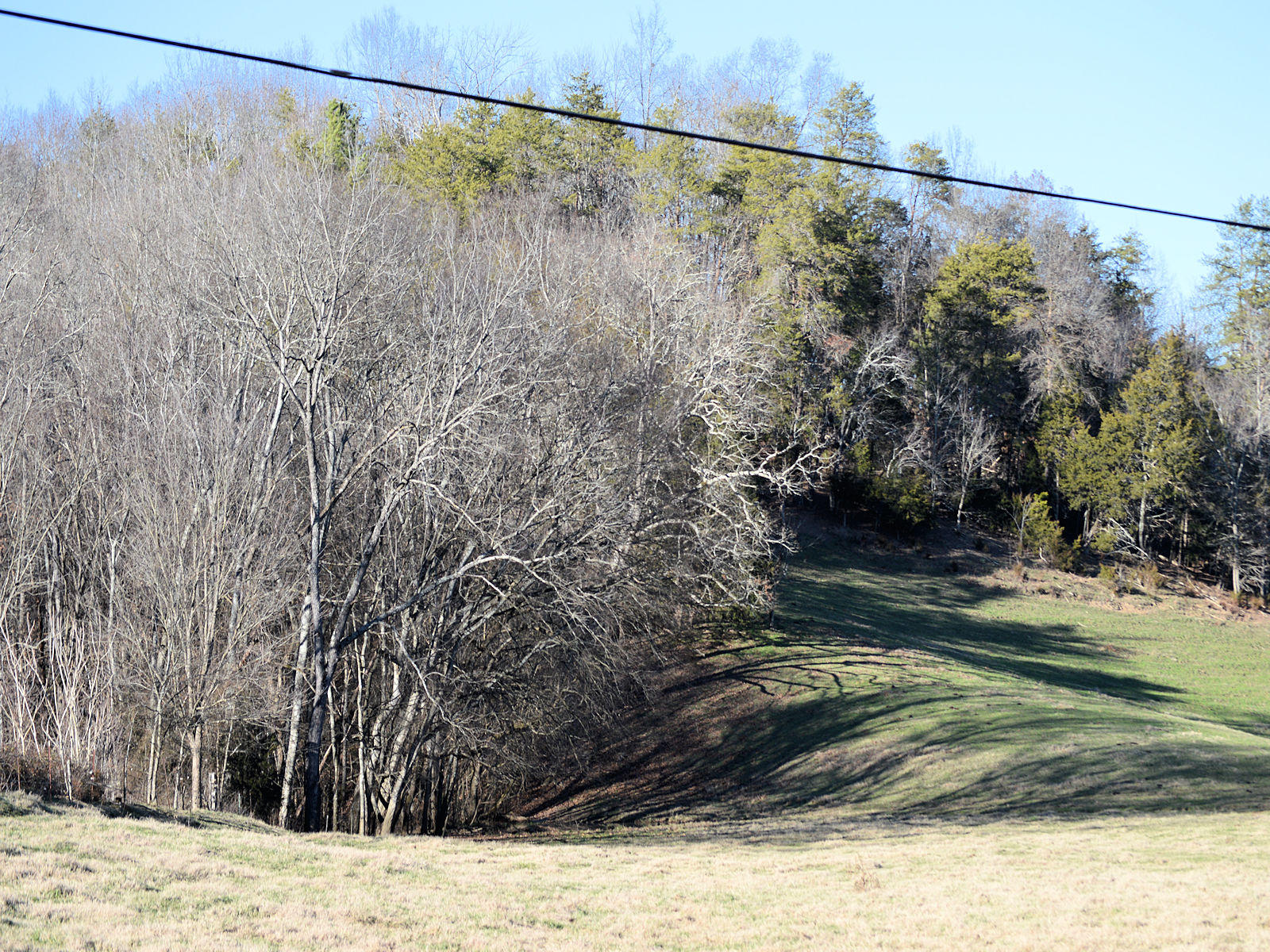 2932 Poplar Springs Road Greeneville, TN 37743 - Photo 1 of 5 lighted star-01