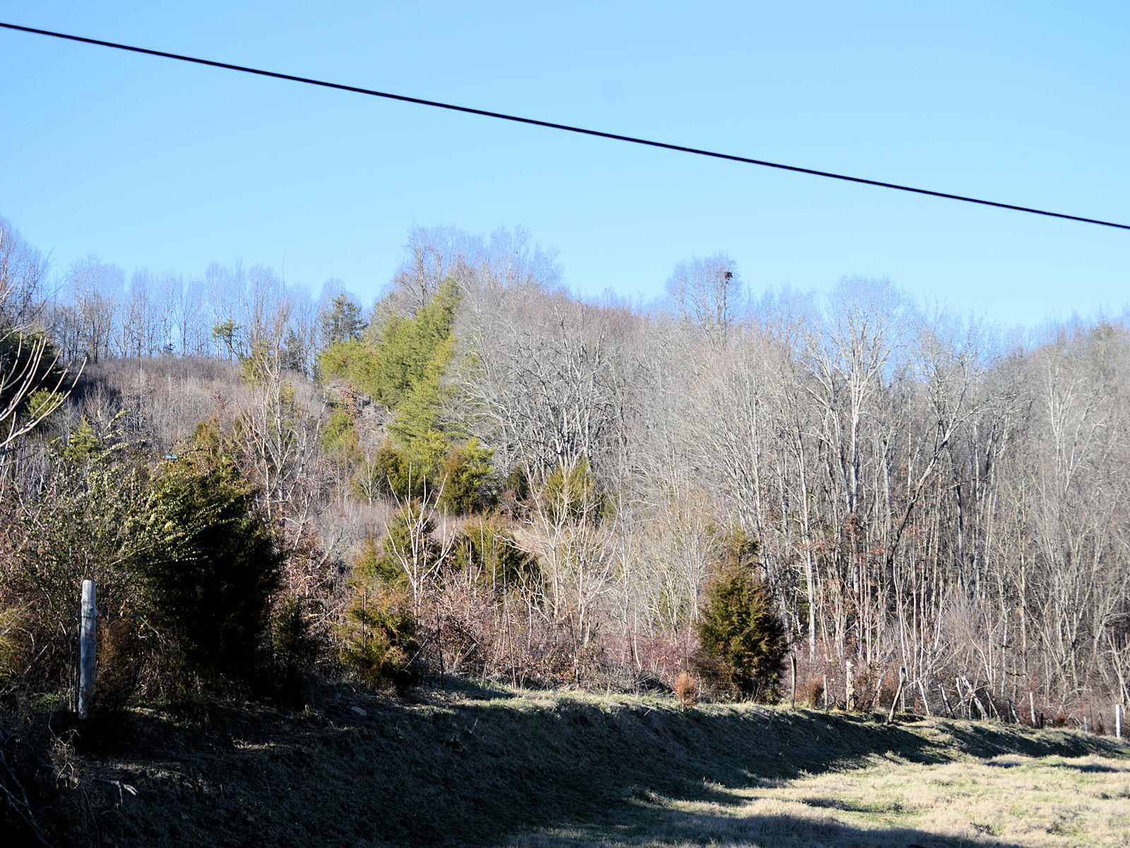 2932 Poplar Springs Road Greeneville, TN 37743 - Photo 2 of 5 lighted star-02