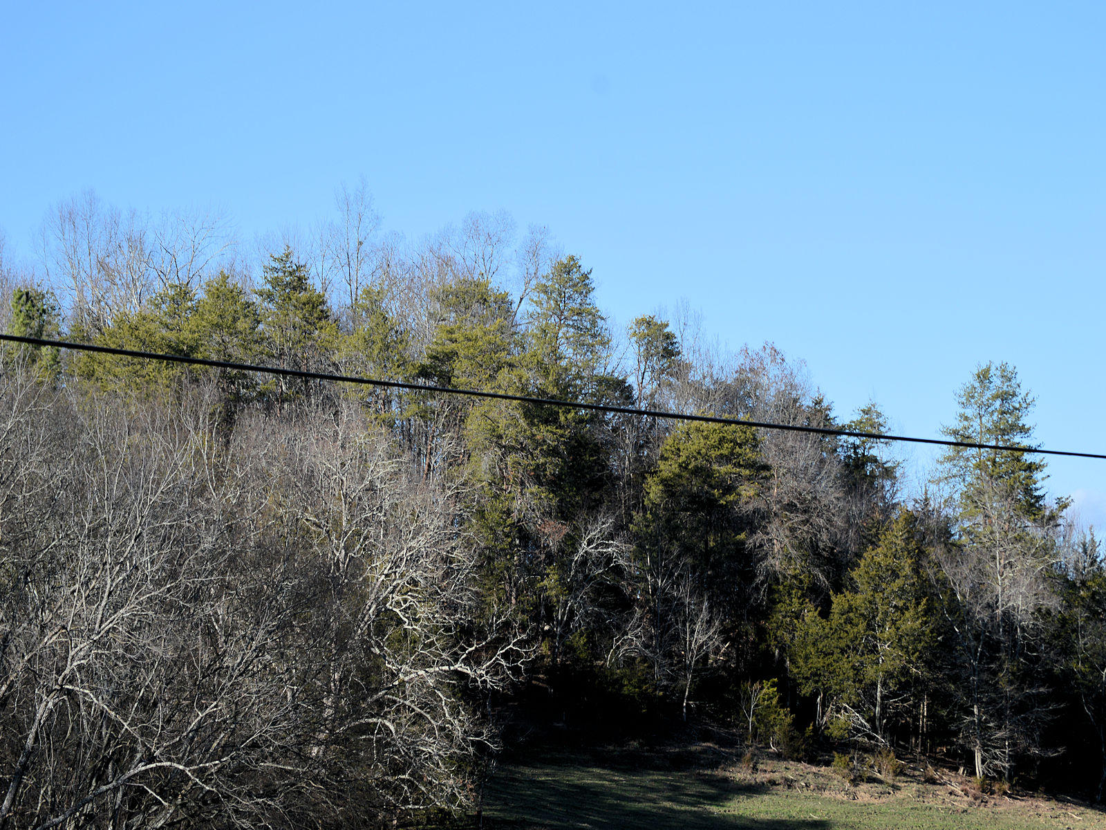 2932 Poplar Springs Road Greeneville, TN 37743 - Photo 5 of 5 lighted star-05