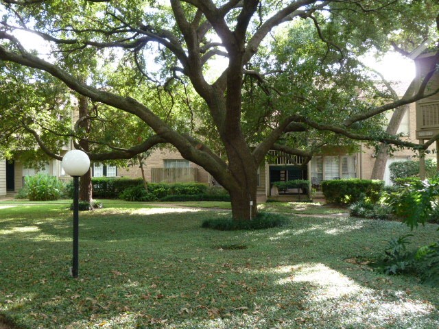 2100 Tanglewilde Street, Unit 377 Houston, TX 77063 - Photo 5 of 10 Gorgeous mature trees and lush landscaping are found throughout this community.