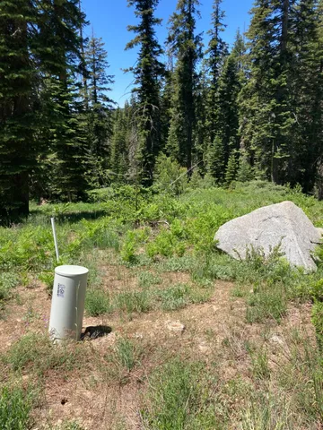 a view of a outdoor space with a sink and garden