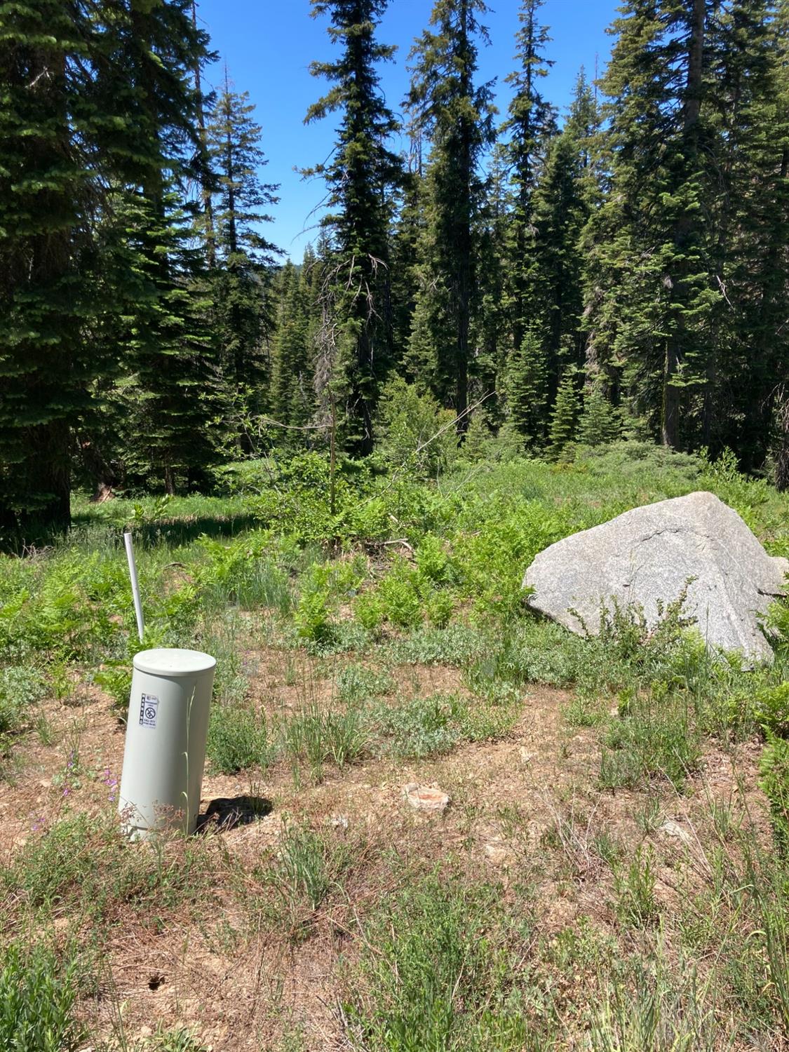 352 Norton Meadows Road Bucks Lake, CA 95971 - Photo 2 of 3 a view of a outdoor space with a sink and garden