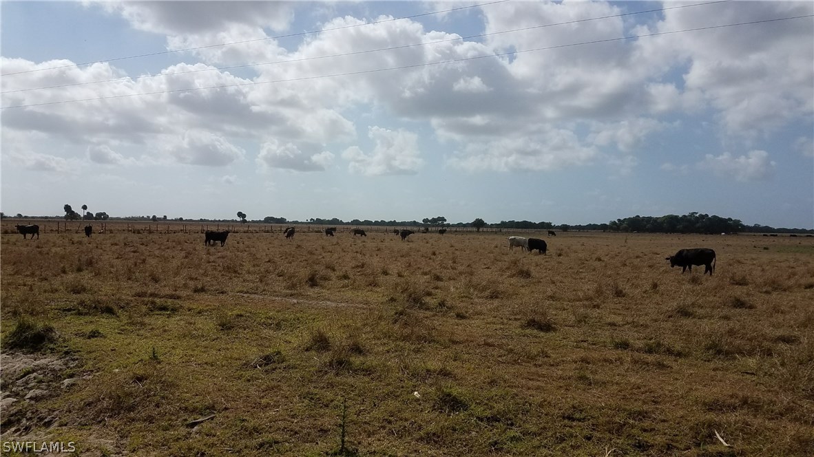 835 County Road Clewiston, FL 33440 - Photo 1 of 8 a view of a lake with houses in back