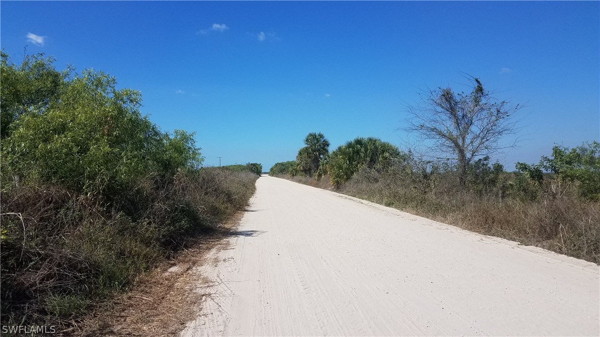 835 County Road Clewiston, FL 33440 - Photo 2 of 8 a view of a dry yard with trees