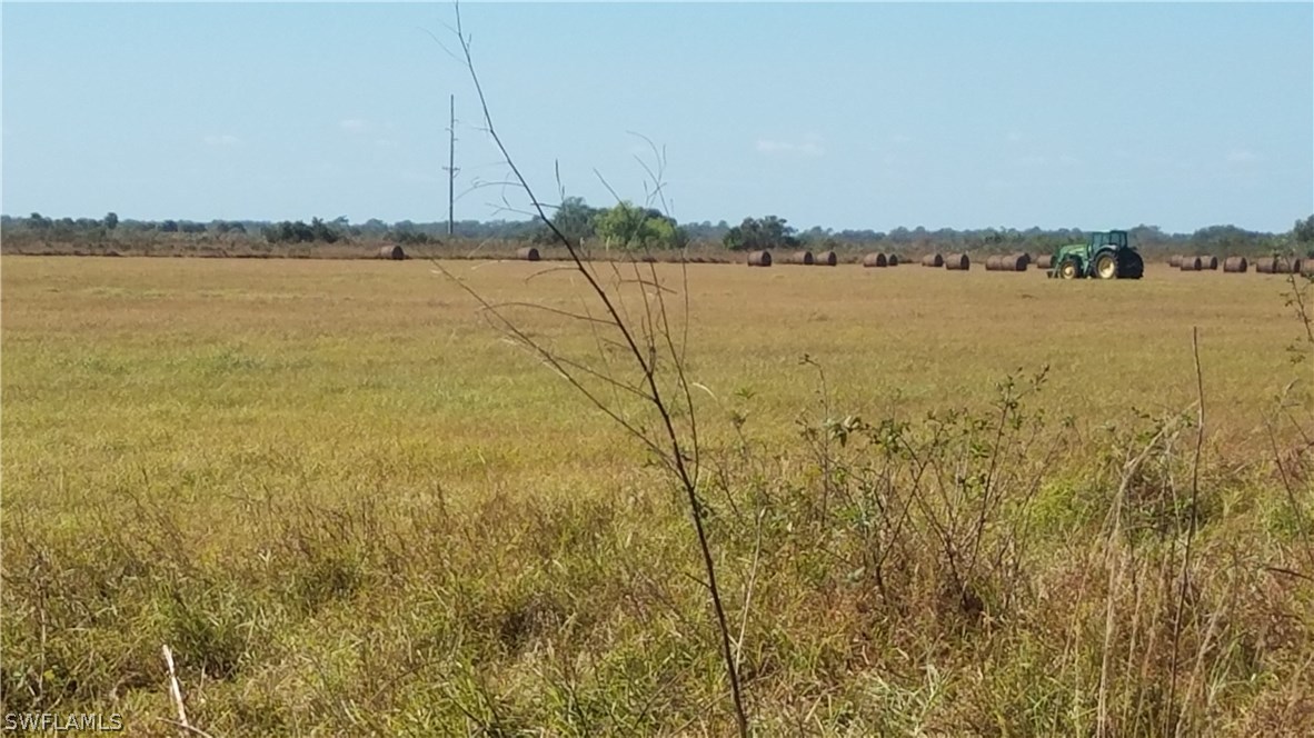 835 County Road Clewiston, FL 33440 - Photo 6 of 8 a view of an ocean with large trees