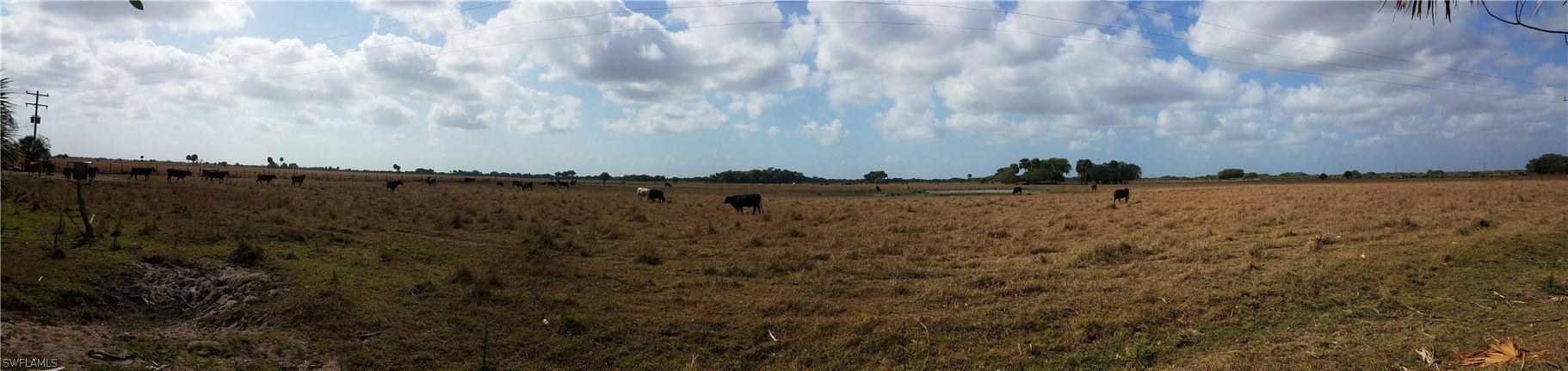 835 County Road Clewiston, FL 33440 - Photo 7 of 8 a view of a lake with houses in back