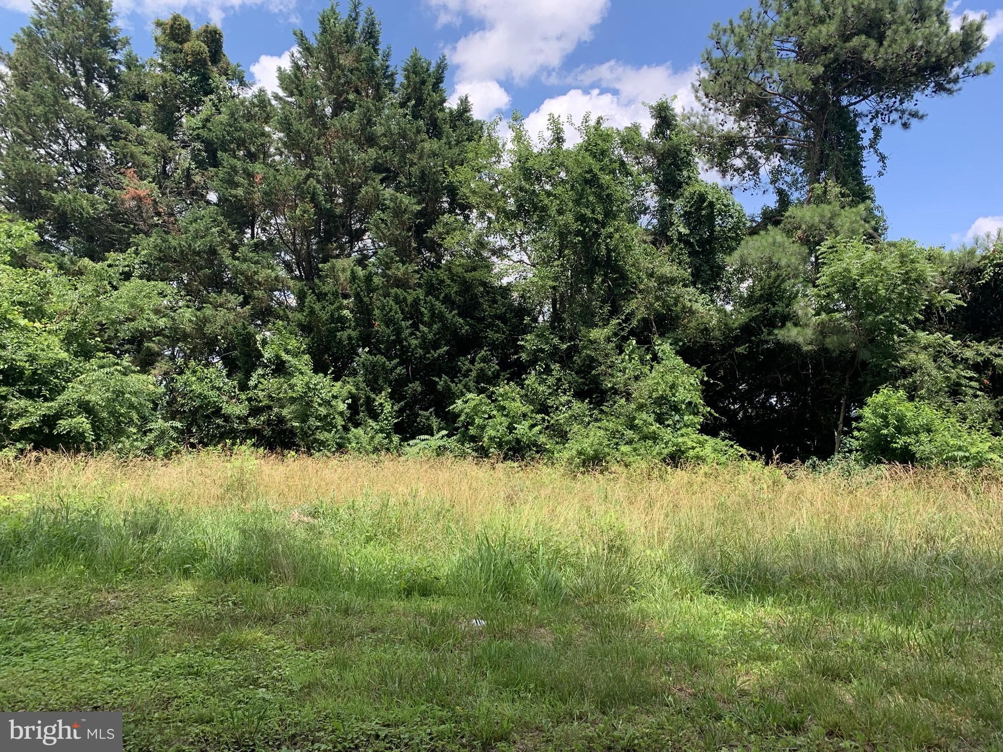 6405 Medford Road Hurlock, MD 21643 - Photo 6 of 8 area left of homesite