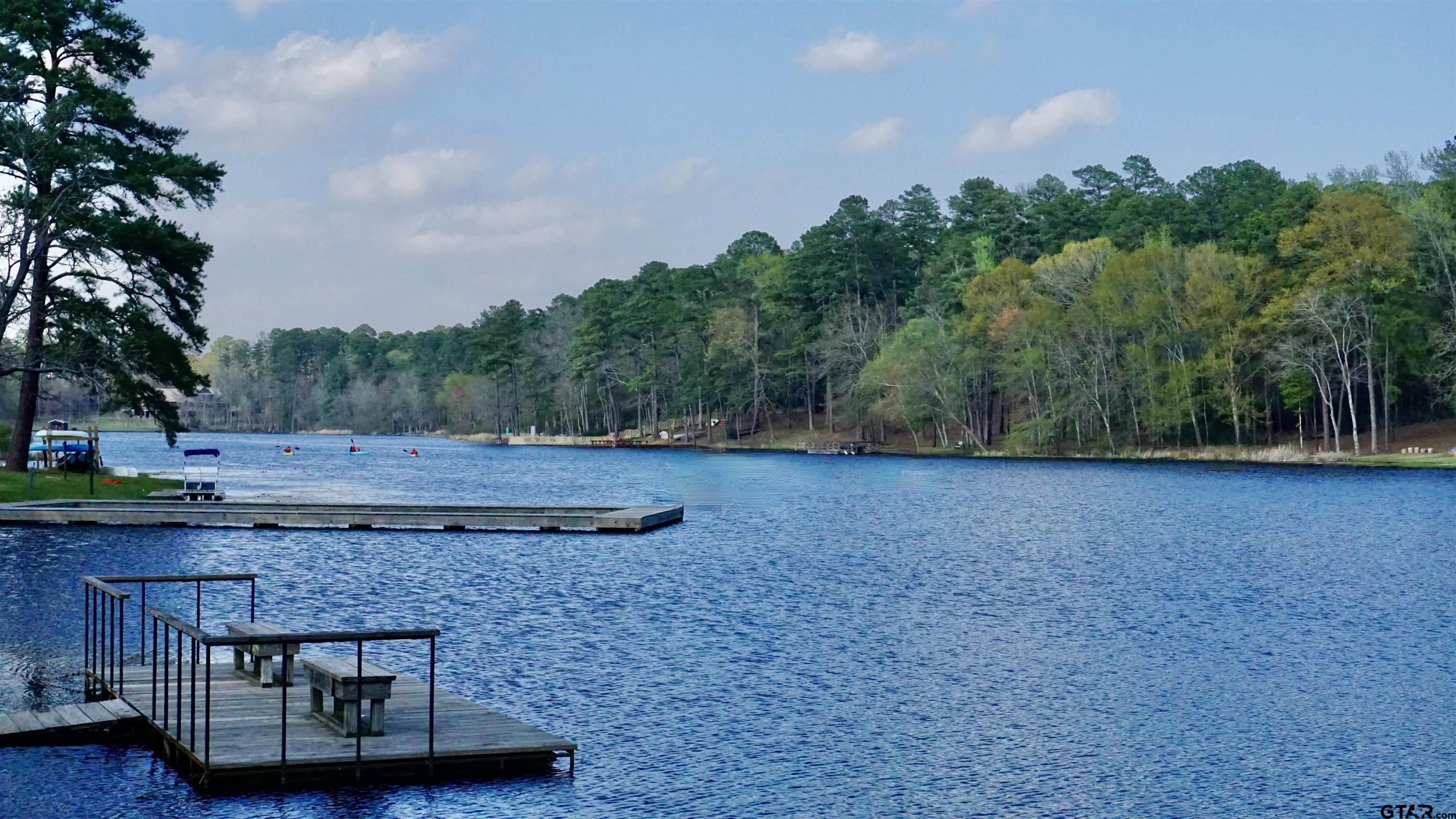 Tbd Tbd Holly Lake Ranch, TX 75765 - Photo 15 of 19 Gallery Image 15