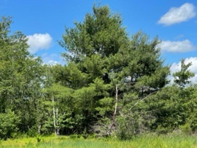 0 North Bowman Road Merritt, MI 49667 - Photo 19 of 24