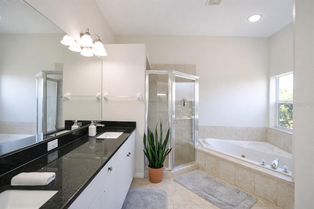 2009 Meadow Rue Court Trinity, FL 34655 - Photo 9 of 21 a bath room with a granite countertop sink and a bathtub