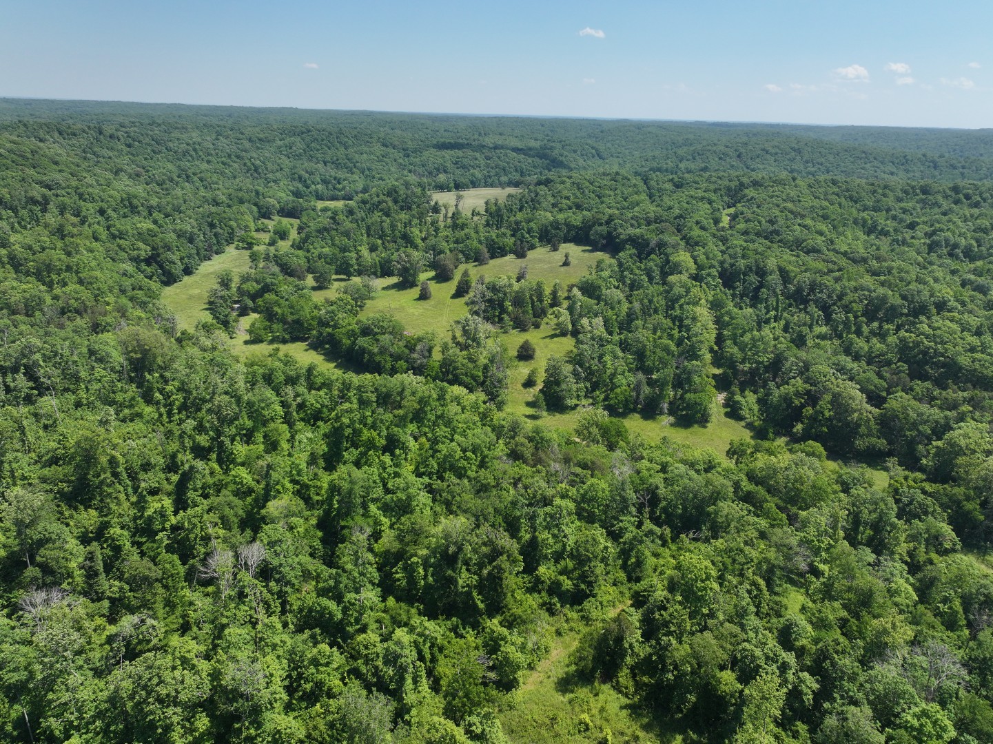 110 Wade Reed Road White Bluff, TN 37187 - Photo 29 of 80