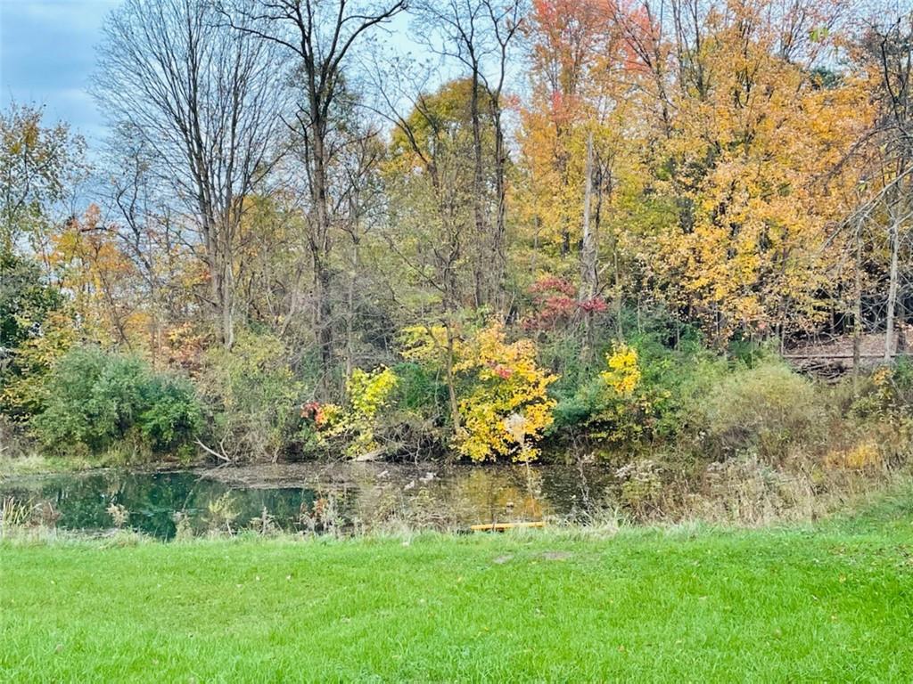4270 Edinburg Road New Castle, PA 16102 - Photo 4 of 25 a view of lake with green space