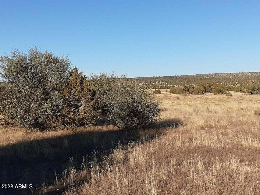 a view of lake and mountain