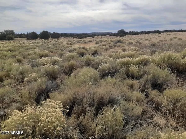 a view of a building