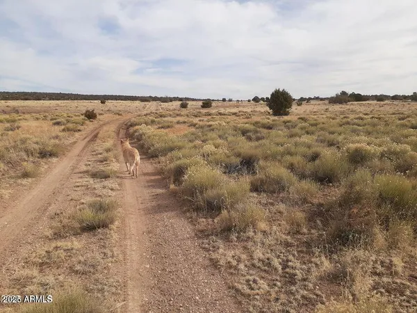 a view of ocean view with beach