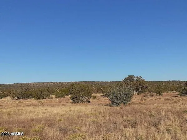 a view of mountain and field