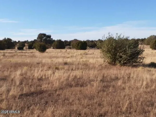 a view of sunset and trees