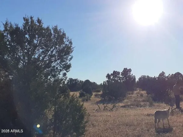a view of a dry space with a mountain in the background