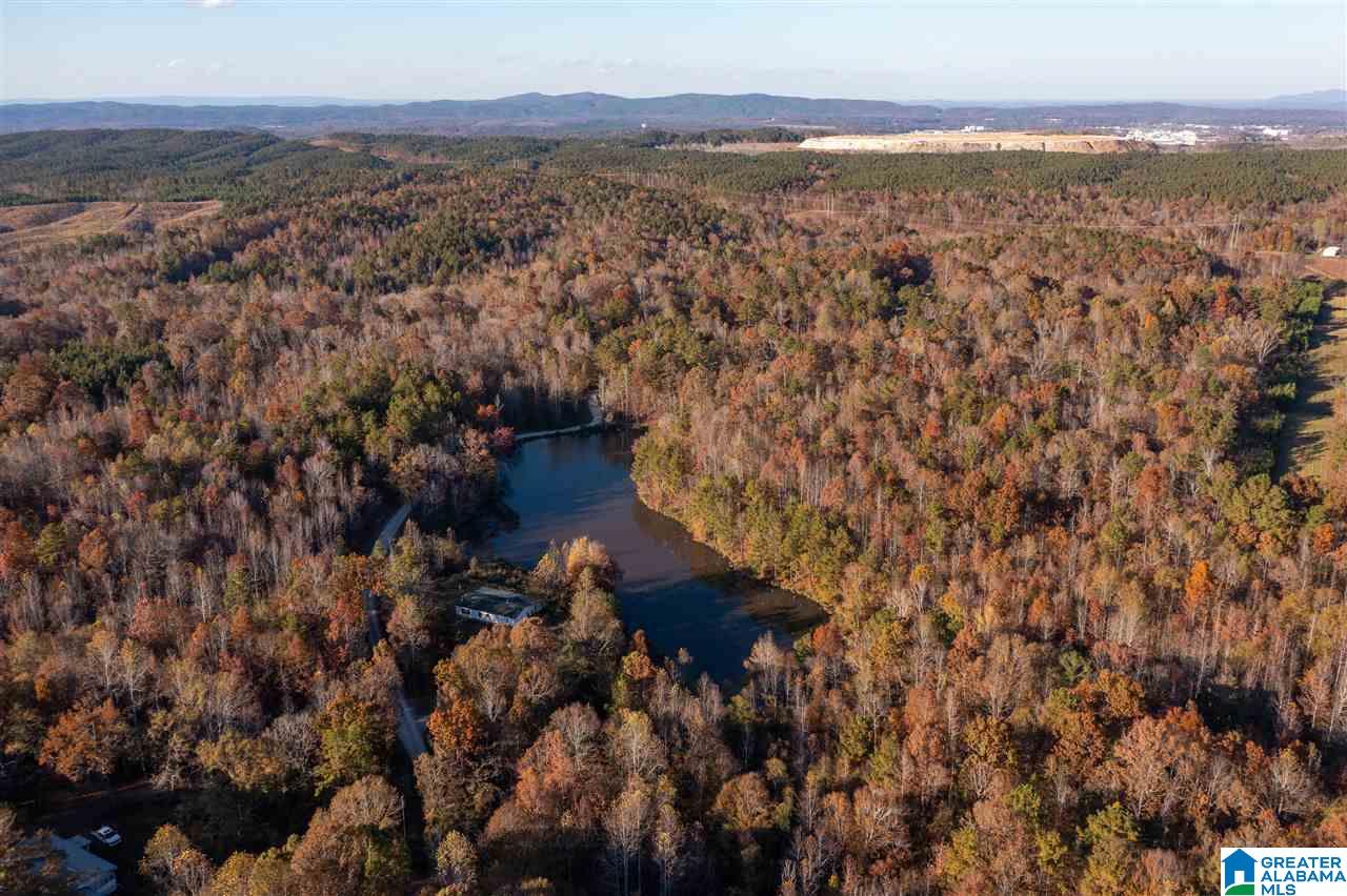 300 Henderson Lake Road Sylacauga, AL 35151 - Photo 3 of 20
