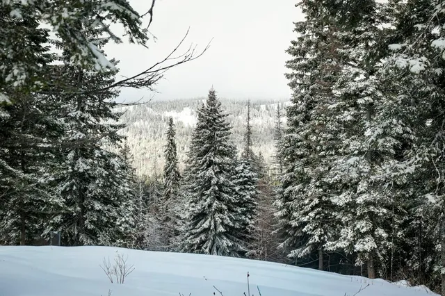 $895,000 | Lot 12 North Loop Road, Unit 6, New Meadows, ID 83654