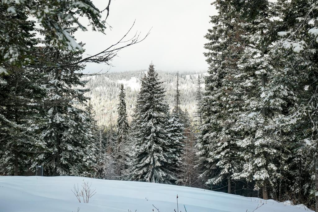 Lot 12 North Loop Road, Unit 6 New Meadows, ID 83654 - Photo 11 of 29