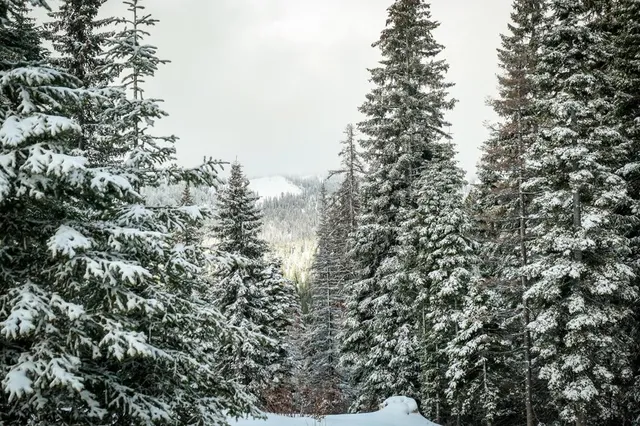 $895,000 | Lot 12 North Loop Road, Unit 6, New Meadows, ID 83654