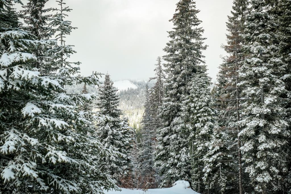 Lot 12 North Loop Road, Unit 6 New Meadows, ID 83654 - Photo 12 of 29