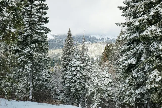 $895,000 | Lot 12 North Loop Road, Unit 6, New Meadows, ID 83654