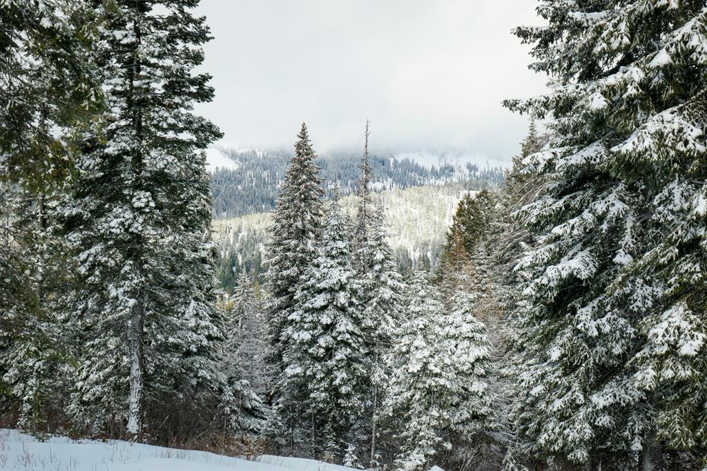 Lot 12 North Loop Road, Unit 6 New Meadows, ID 83654 - Photo 13 of 29