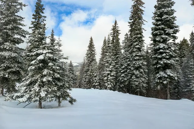 $895,000 | Lot 12 North Loop Road, Unit 6, New Meadows, ID 83654