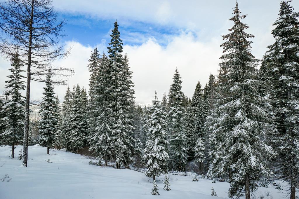 Lot 12 North Loop Road, Unit 6 New Meadows, ID 83654 - Photo 15 of 29