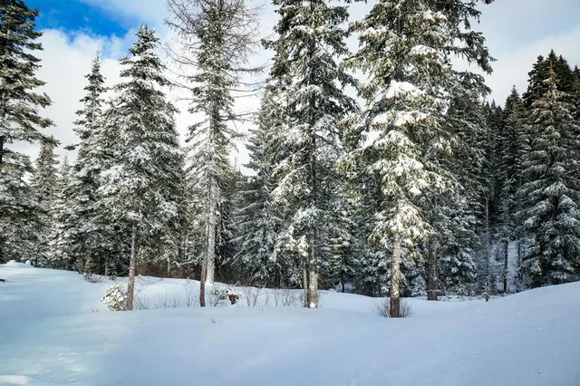 $895,000 | Lot 12 North Loop Road, Unit 6, New Meadows, ID 83654