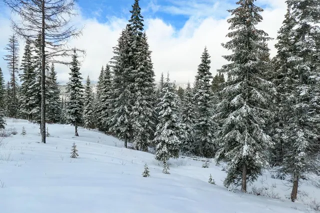 $895,000 | Lot 12 North Loop Road, Unit 6, New Meadows, ID 83654