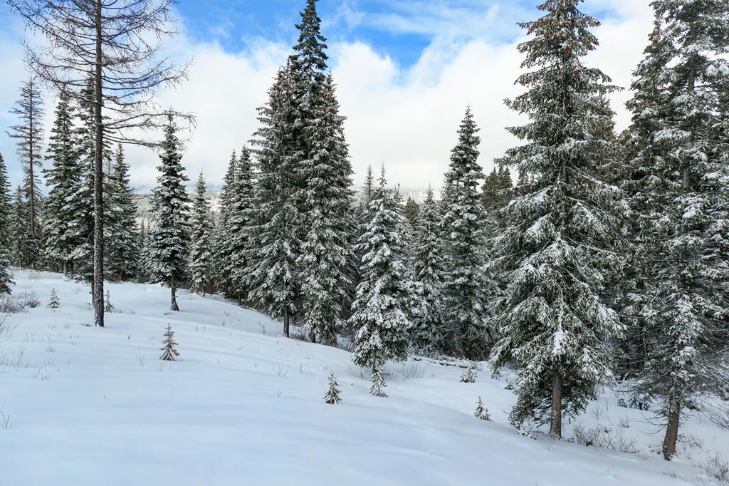 Lot 12 North Loop Road, Unit 6 New Meadows, ID 83654 - Photo 17 of 29