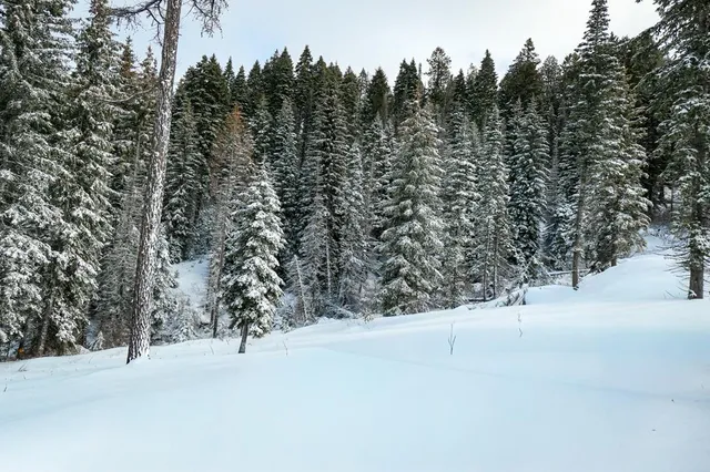 $895,000 | Lot 12 North Loop Road, Unit 6, New Meadows, ID 83654