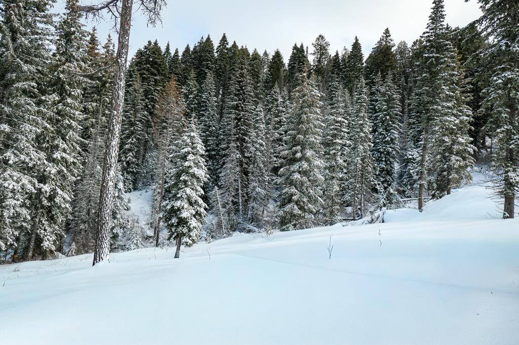 Lot 12 North Loop Road, Unit 6 New Meadows, ID 83654 - Photo 18 of 29