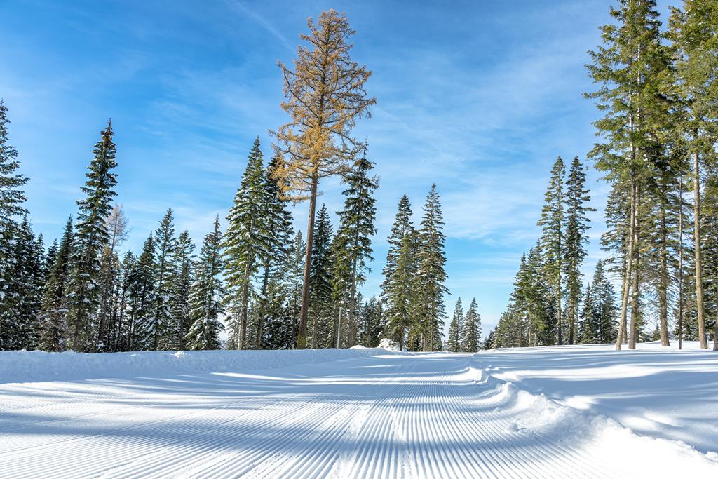 Lot 12 North Loop Road, Unit 6 New Meadows, ID 83654 - Photo 19 of 29