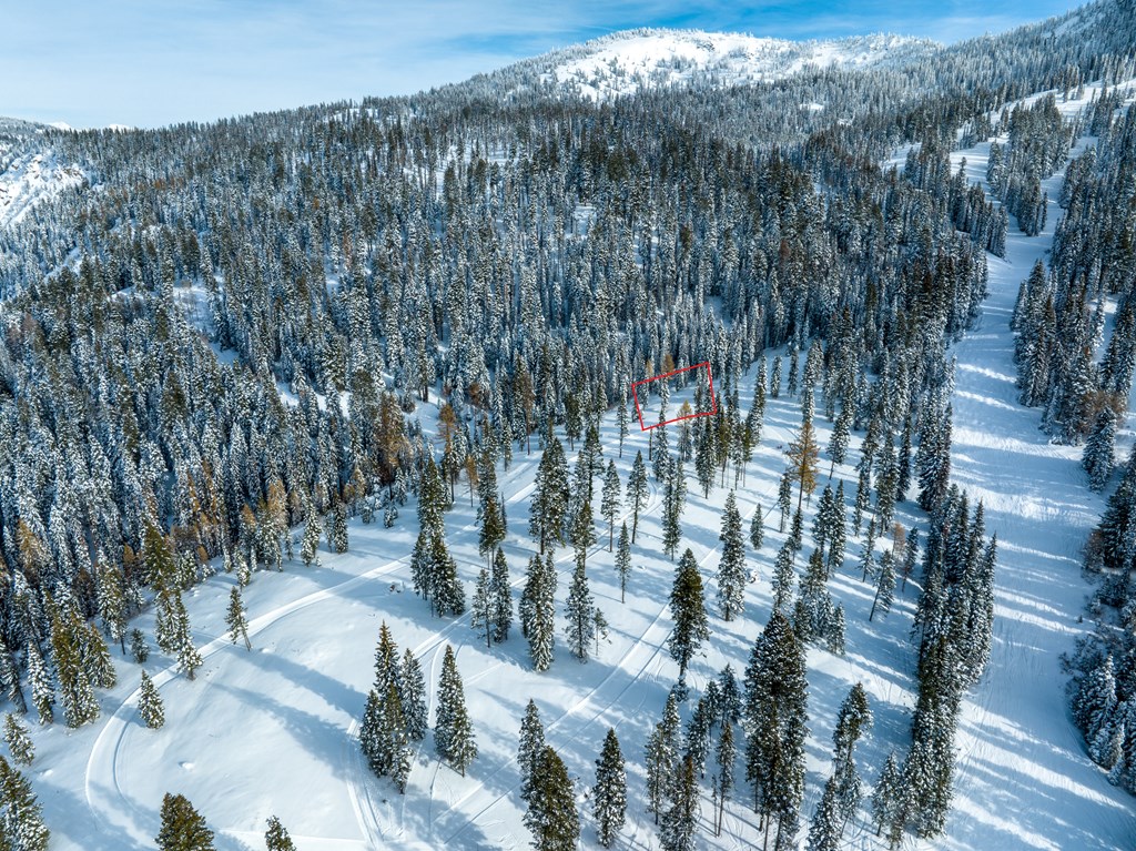 Lot 12 North Loop Road, Unit 6 New Meadows, ID 83654 - Photo 4 of 29